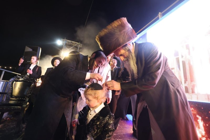 שלומי כהן