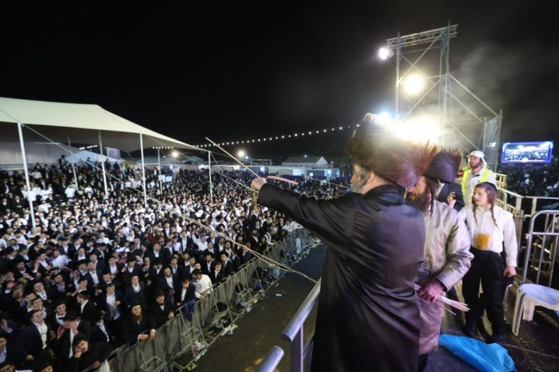 שלומי כהן