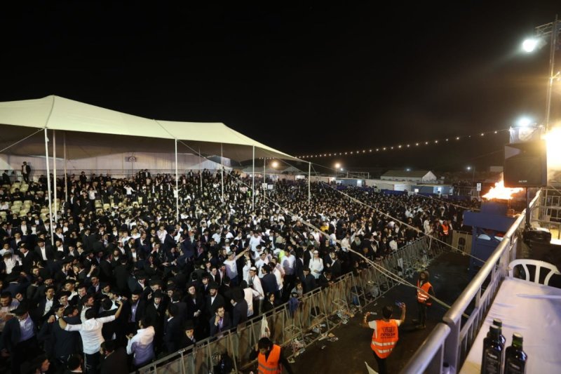 שלומי כהן