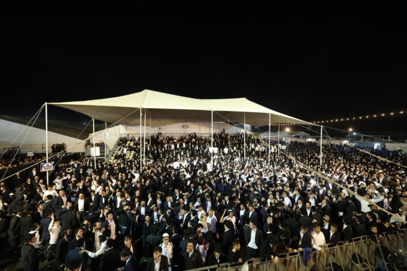 שלומי כהן