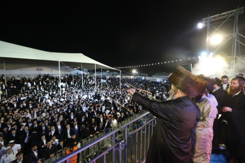 שלומי כהן