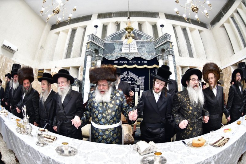 יוסי לוי