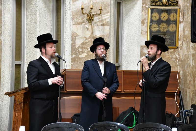 יוסי לוי