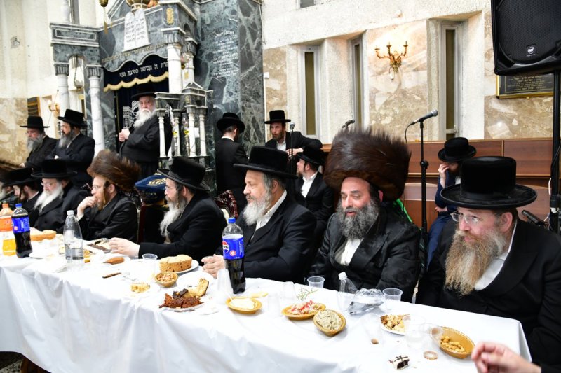 יוסי לוי