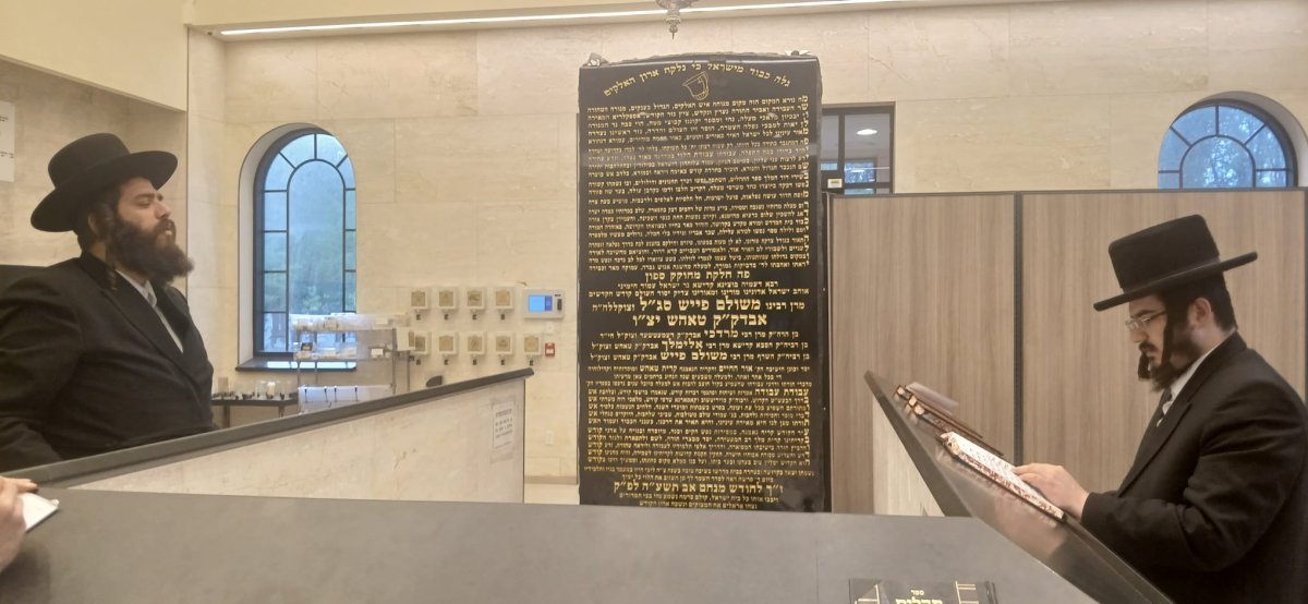 באדיבות המצלם