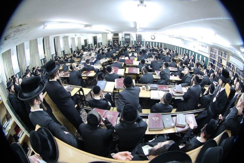 שלומי טריכטר