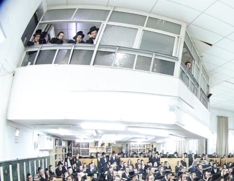 שלומי טריכטר
