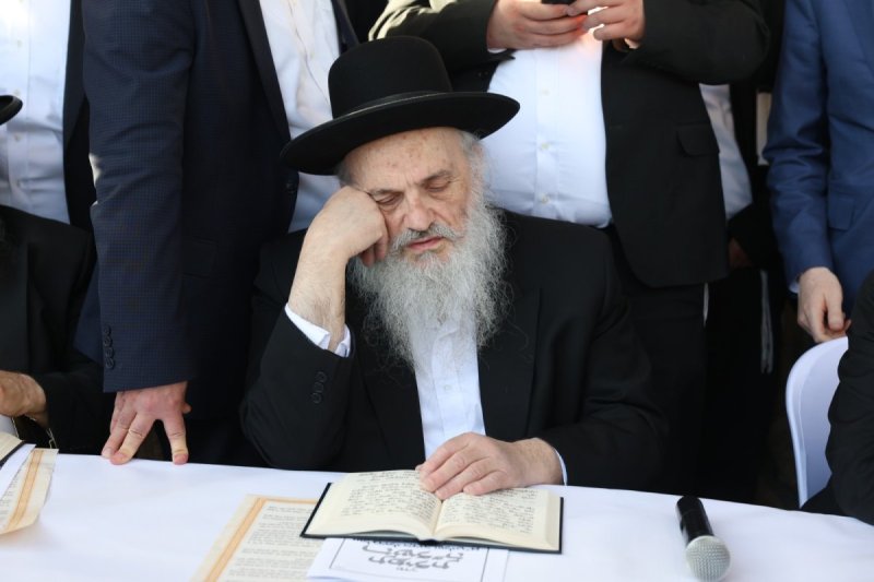 דוד כהן