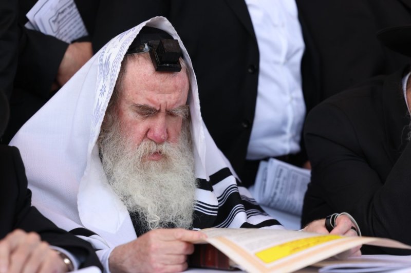 דוד כהן