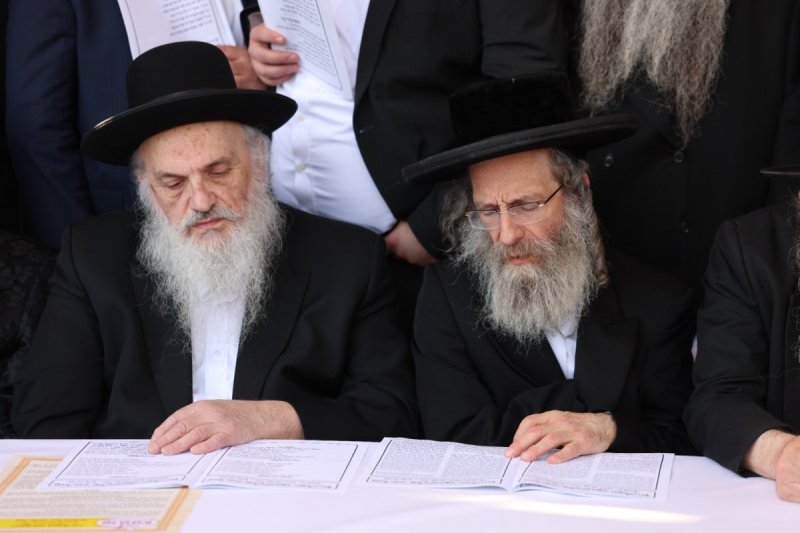 דוד כהן