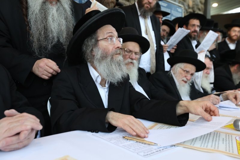 דוד כהן