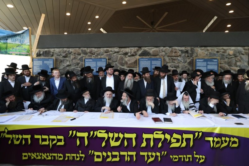 דוד כהן