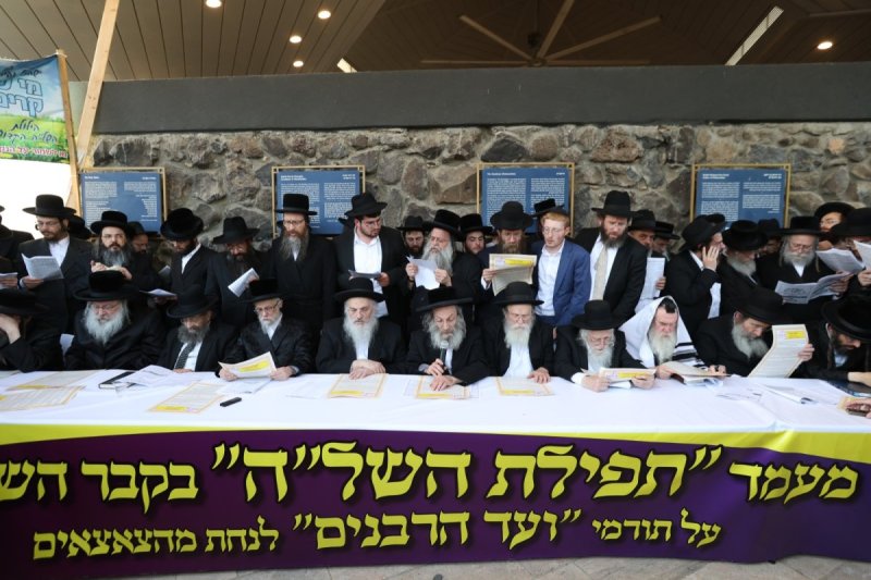 דוד כהן