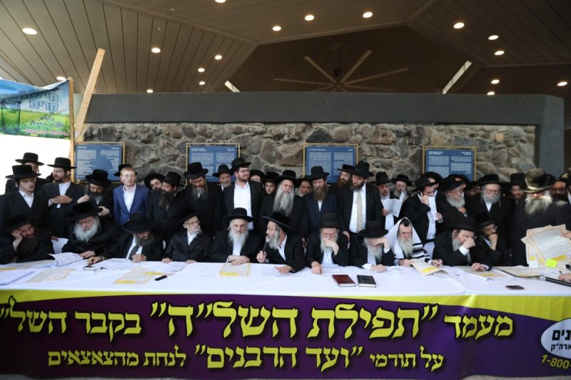 דוד כהן