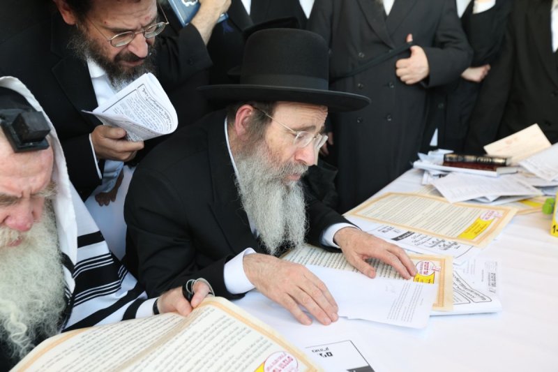דוד כהן