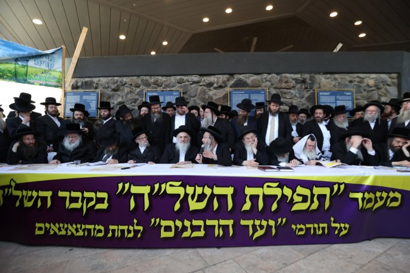 דוד כהן