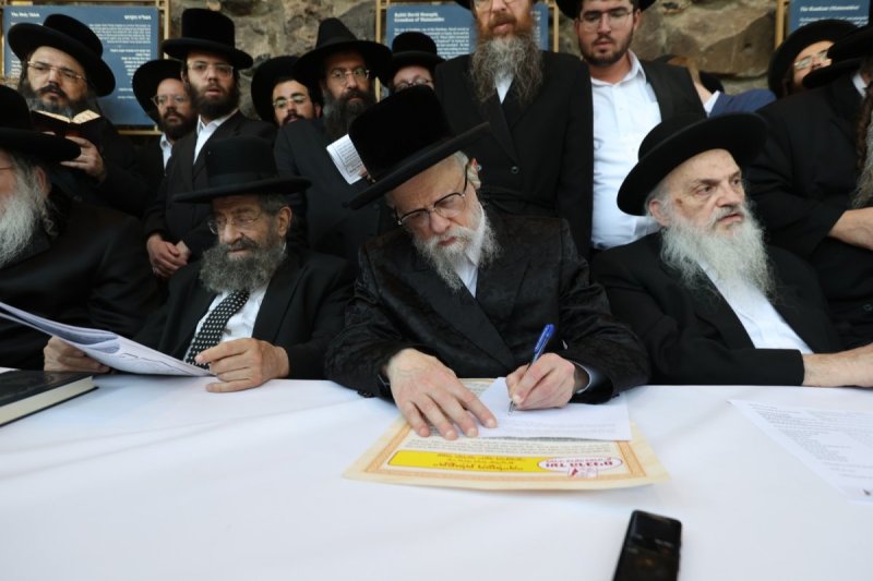 דוד כהן