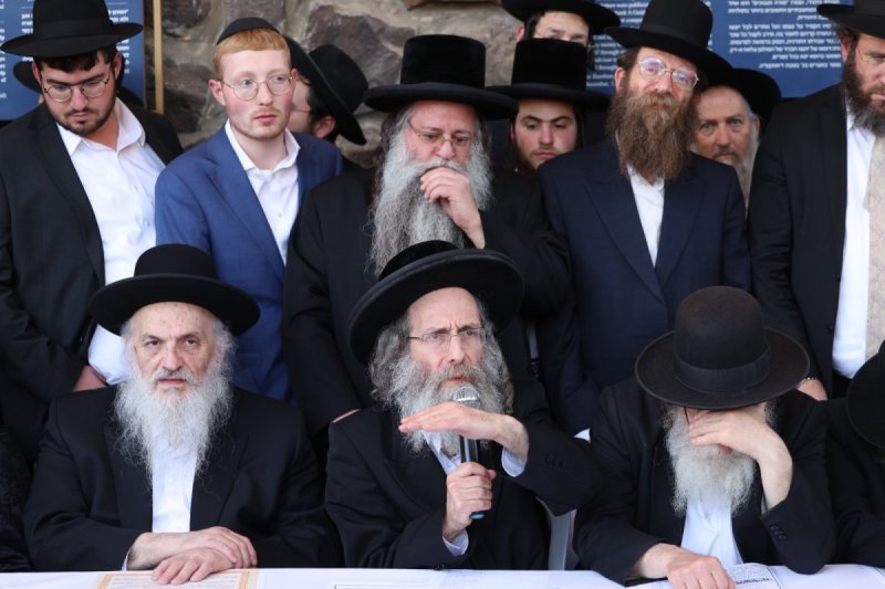 דוד כהן