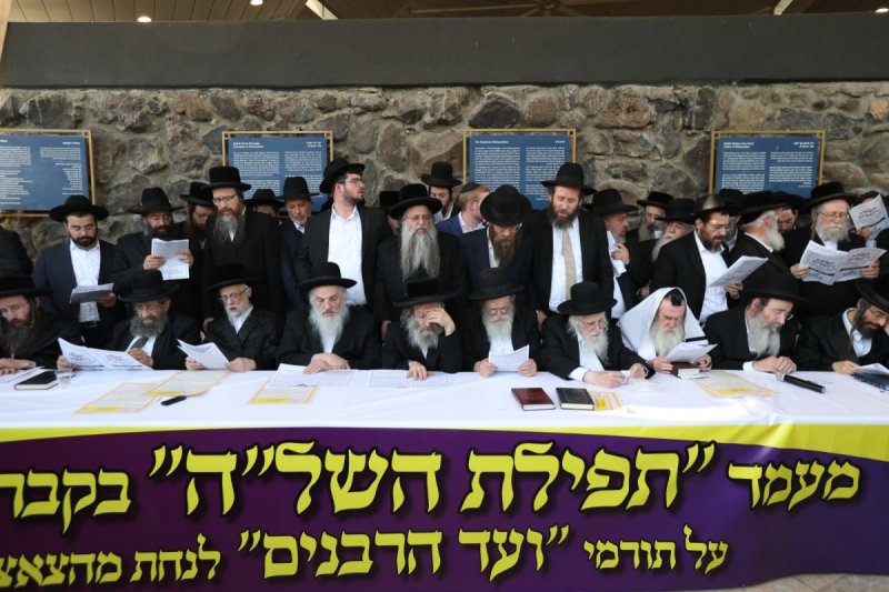 דוד כהן