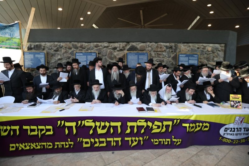 דוד כהן