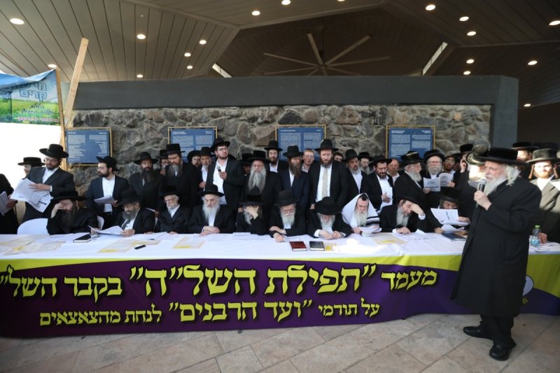 דוד כהן