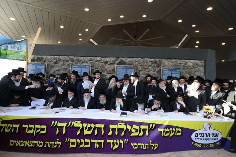 דוד כהן