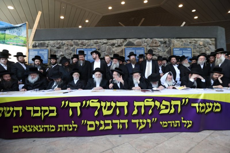 דוד כהן