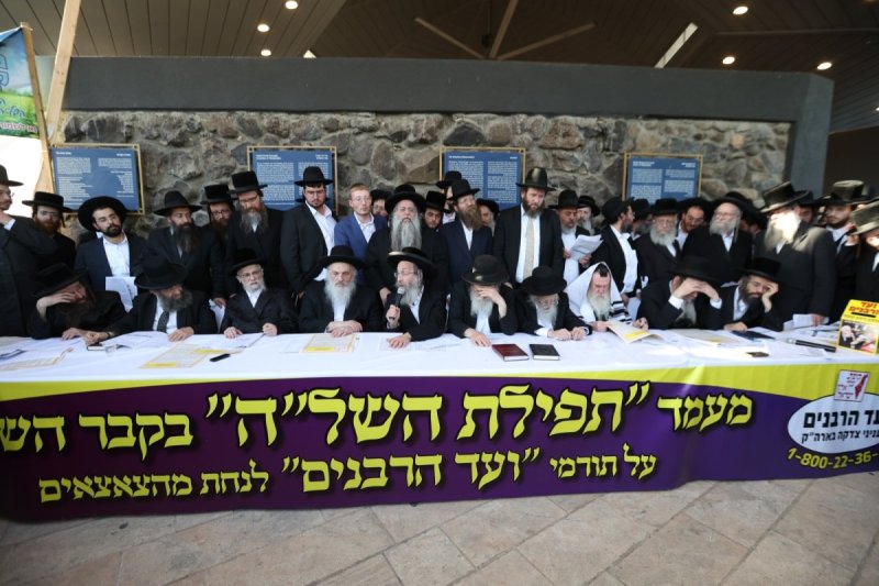 דוד כהן