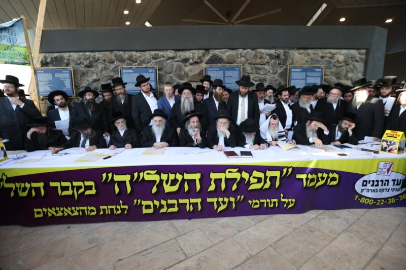 דוד כהן