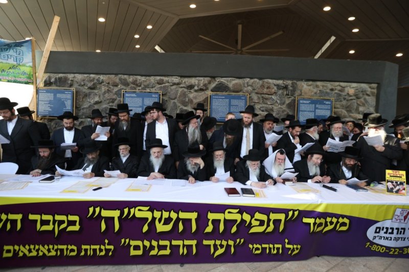 דוד כהן