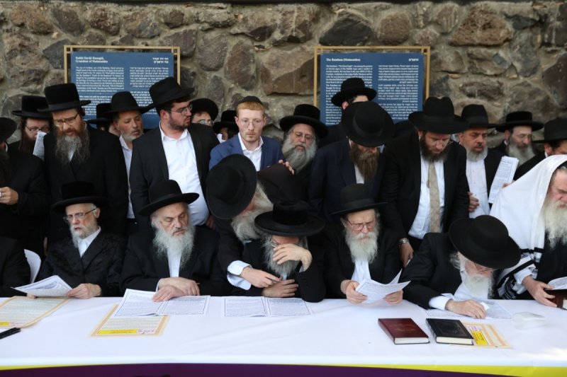 דוד כהן