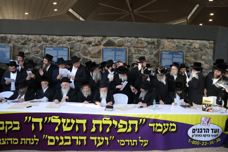 דוד כהן
