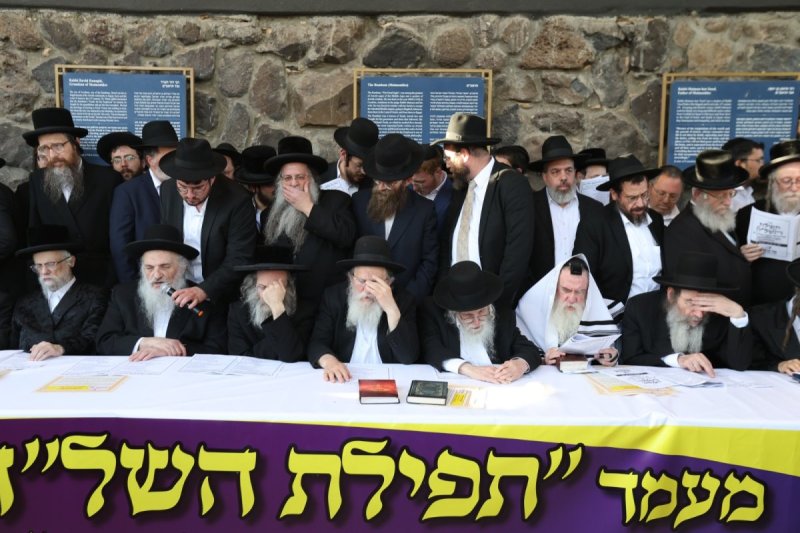דוד כהן