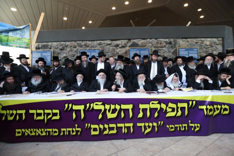 דוד כהן