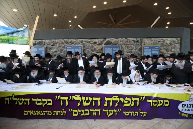 דוד כהן