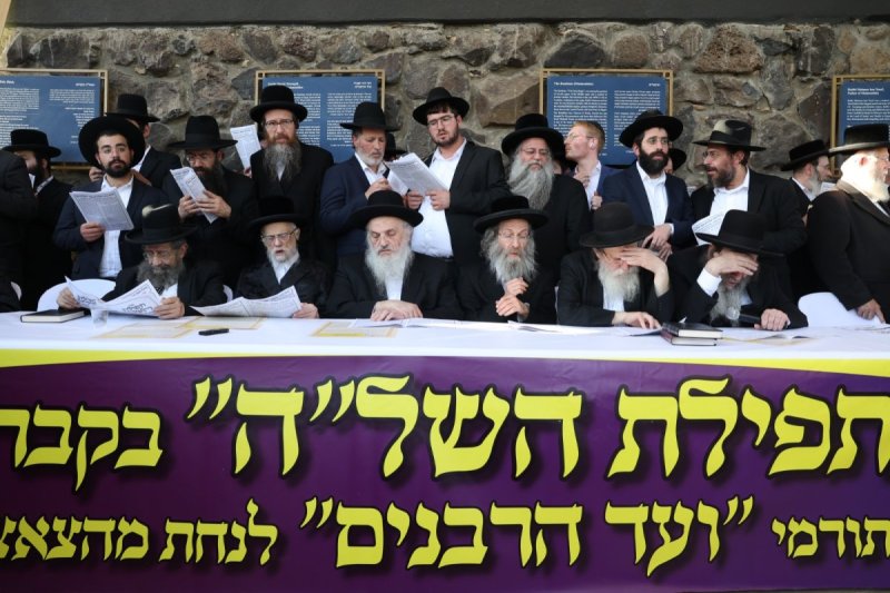 דוד כהן
