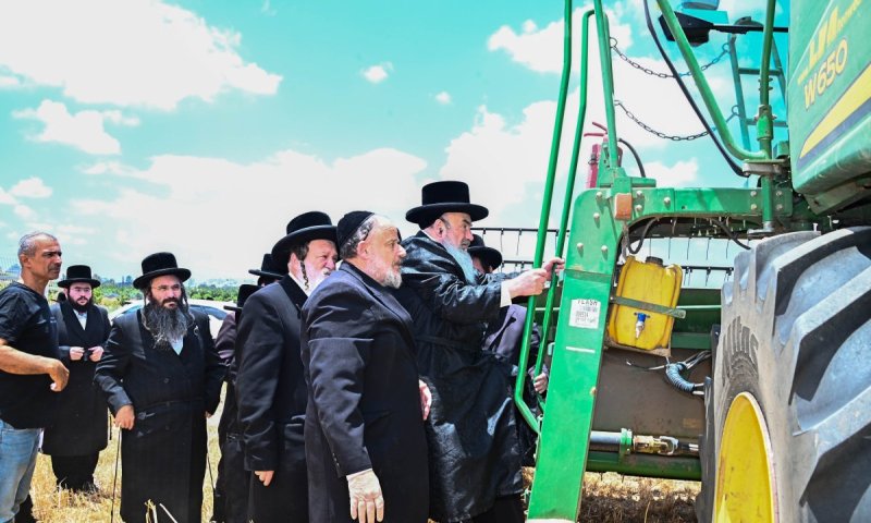 בצומת הכפר הירוק: הרבי טיפס על ה'קומביין' וקצר את החיטים