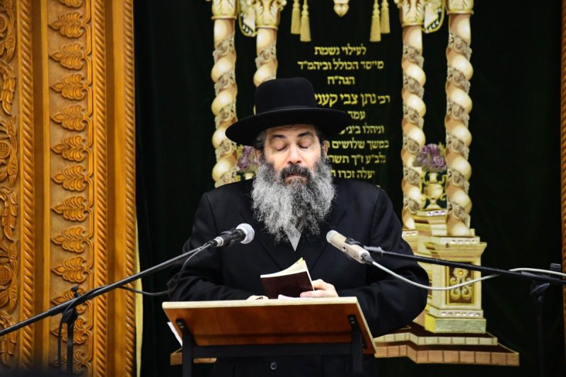 שוקי לרר
