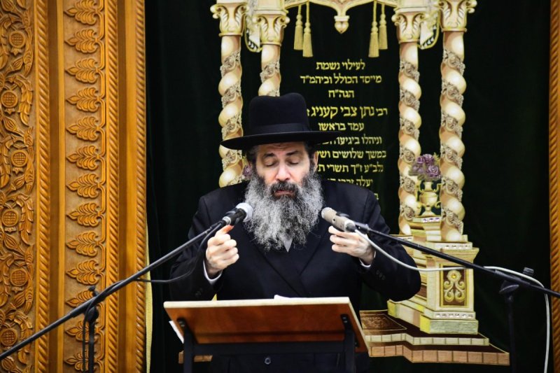 שוקי לרר