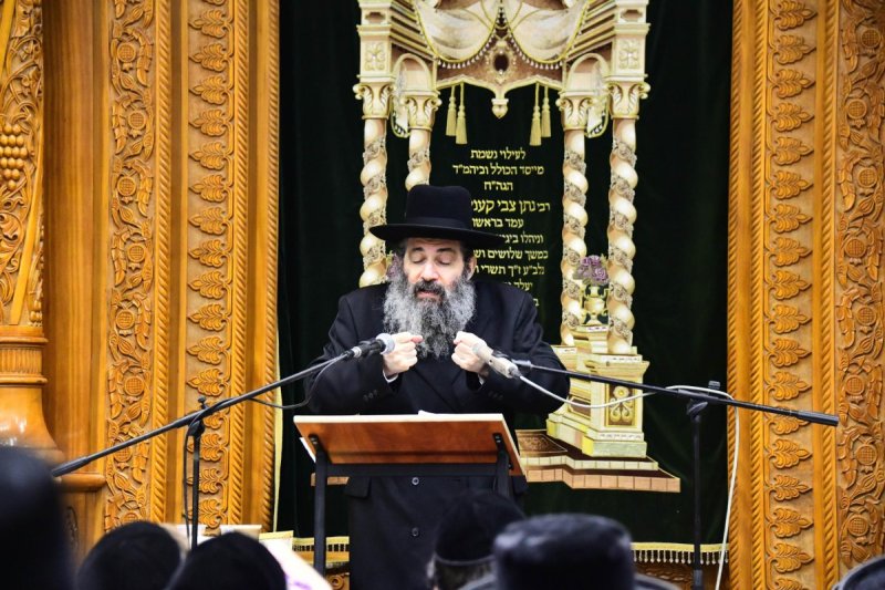 שוקי לרר