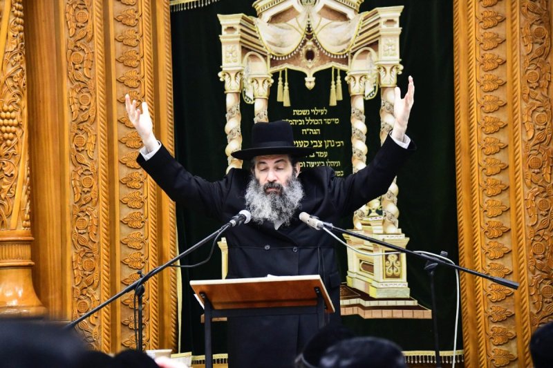 שוקי לרר