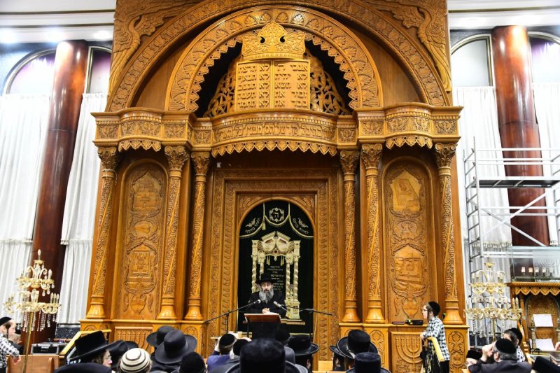שוקי לרר