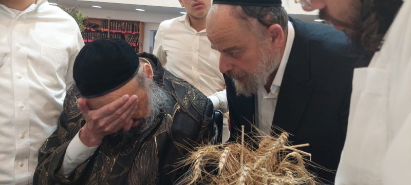 שוקי לרר