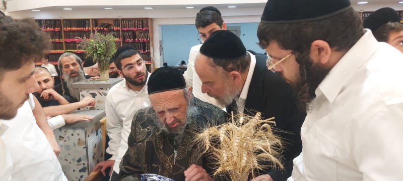 שוקי לרר