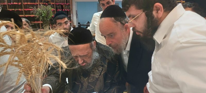 שוקי לרר