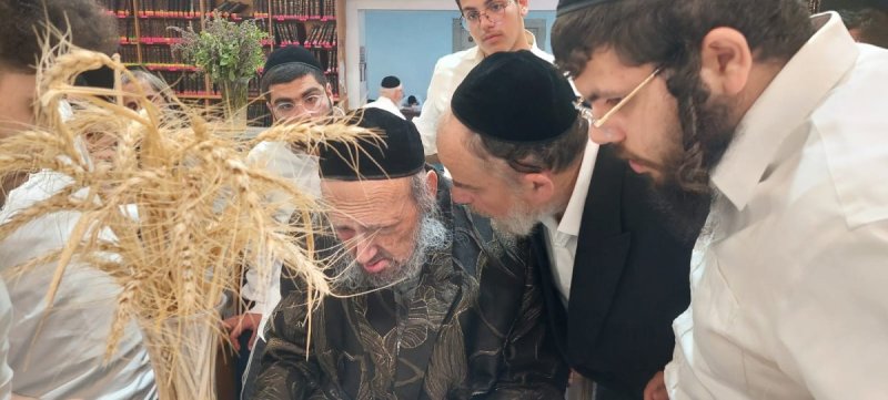 שוקי לרר