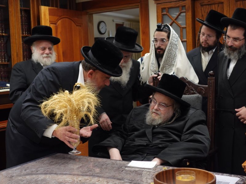 שוקי לרר