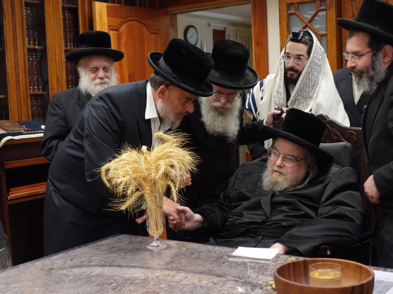 שוקי לרר