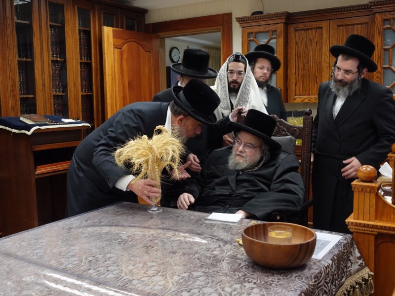 שוקי לרר
