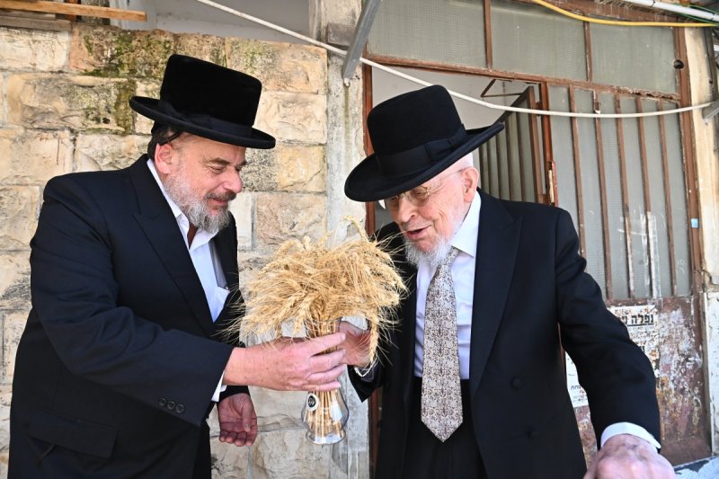 שוקי לרר